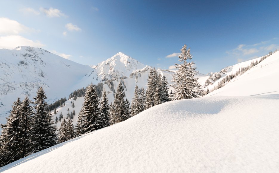 Schattwald_TVB Tannheimer Tal_Ehn Wolfgang_Schattwald 2.jpg