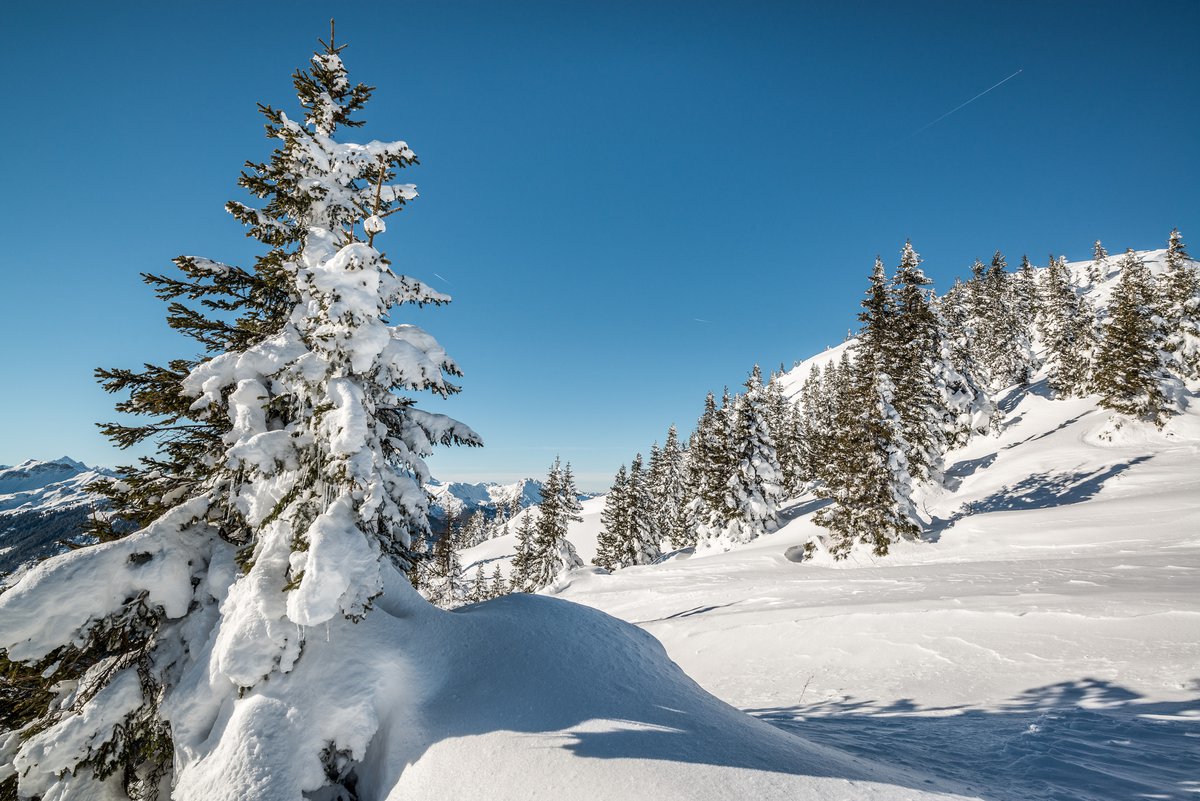Grän_TVB Tannheimer Tal_Meurer Achim_Grän-Haldensee-7.jpg